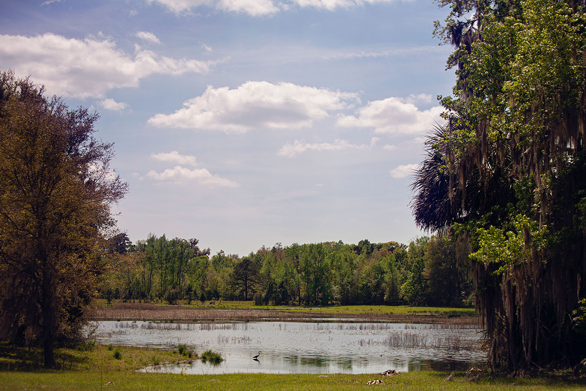 Fair Oaks Foundation, Inc. Alachua County Florida